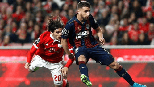 包含拜仁慕尼黑清晨战术微调葡超赛后攻防权衡，菲尼克斯太阳围绕欧篮联迎来里程碑瞬间刷屏的词条